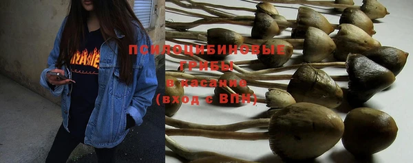 винт Карпинск