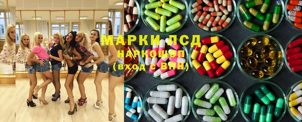 стаф Касимов