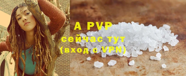 винт Карпинск