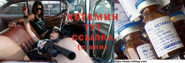 стаф Касимов