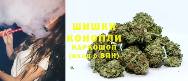 стаф Касимов
