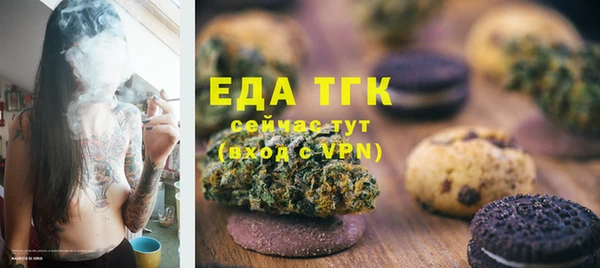 стаф Касимов