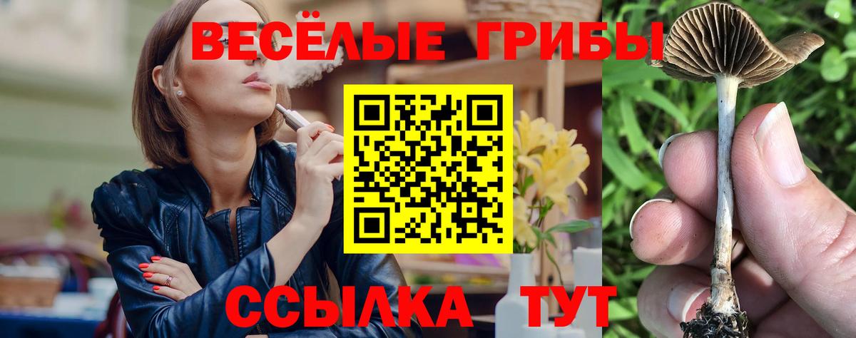 Галлюциногенные грибы мухоморы Кандалакша